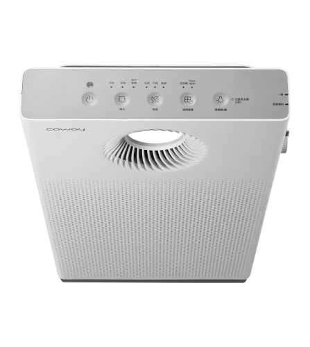Coway Mini Storm